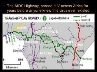 Immune System Lesson PowerPoint