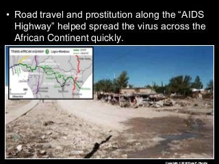 Immune System Lesson PowerPoint