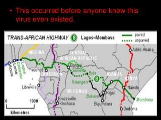 Immune System Lesson PowerPoint