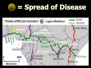 Immune System Lesson PowerPoint