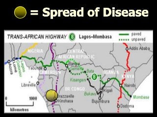 Immune System Lesson PowerPoint