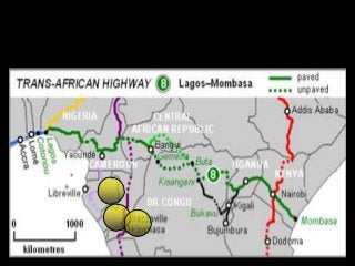 Immune System Lesson PowerPoint