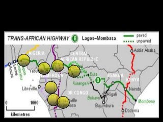Immune System Lesson PowerPoint