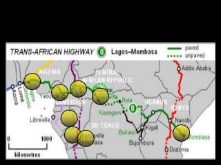 Immune System Lesson PowerPoint