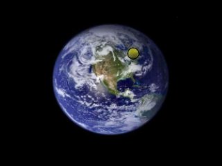 Immune System Lesson PowerPoint