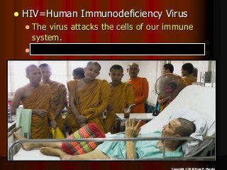 Immune System Lesson PowerPoint