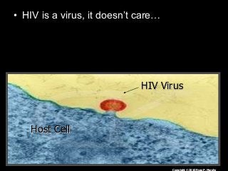 Immune System Lesson PowerPoint