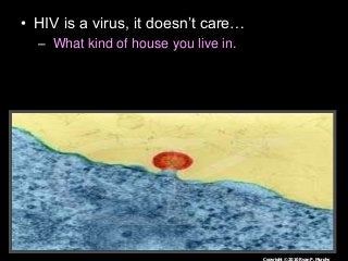 Immune System Lesson PowerPoint