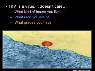 Immune System Lesson PowerPoint