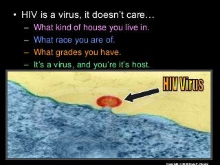 Immune System Lesson PowerPoint