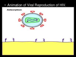 Immune System Lesson PowerPoint