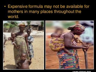 Immune System Lesson PowerPoint