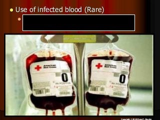 Immune System Lesson PowerPoint