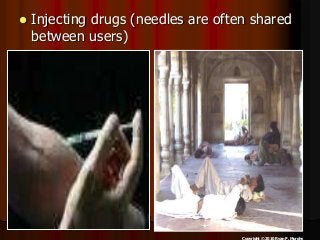 Immune System Lesson PowerPoint