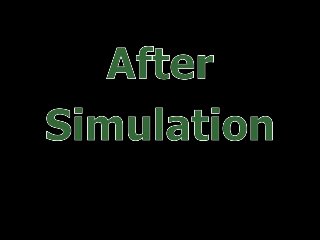 Immune System Lesson PowerPoint