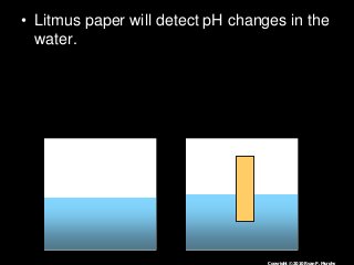 Immune System Lesson PowerPoint