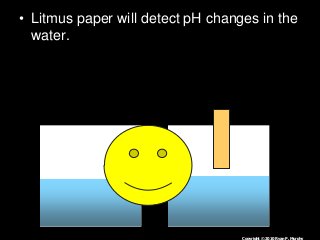 Immune System Lesson PowerPoint