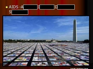 Immune System Lesson PowerPoint