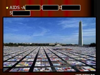 Immune System Lesson PowerPoint