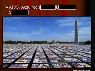 Immune System Lesson PowerPoint