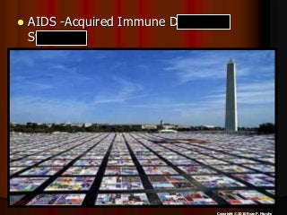 Immune System Lesson PowerPoint