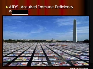 Immune System Lesson PowerPoint