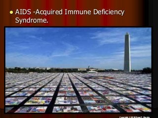 Immune System Lesson PowerPoint