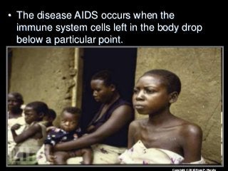 Immune System Lesson PowerPoint