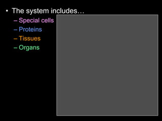 • The system includes…
– Special cells
– Proteins
– Tissues
– Organs
 