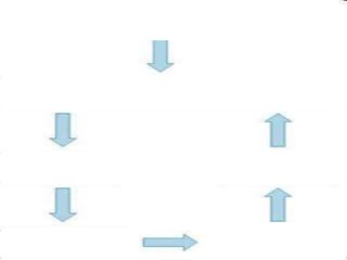 Immune System Lesson PowerPoint