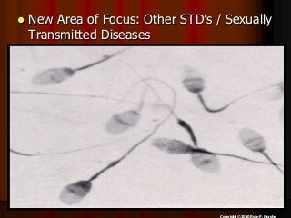 Immune System Lesson PowerPoint