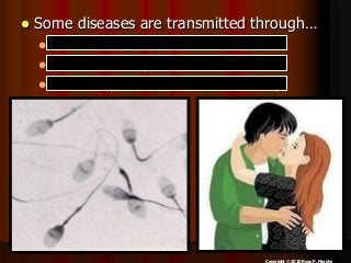 Immune System Lesson PowerPoint