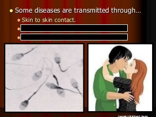 Immune System Lesson PowerPoint