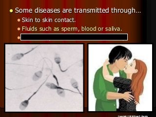 Immune System Lesson PowerPoint