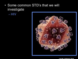 Immune System Lesson PowerPoint