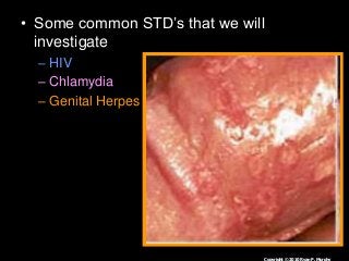 Immune System Lesson PowerPoint