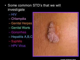 Immune System Lesson PowerPoint