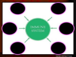 Copyright © 2010 Ryan P. Murphy
 