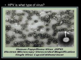 Immune System Lesson PowerPoint