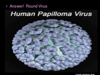 Immune System Lesson PowerPoint