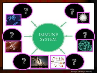 Copyright © 2010 Ryan P. Murphy
 