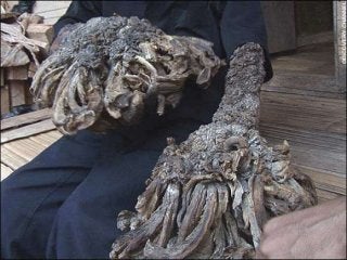 Immune System Lesson PowerPoint