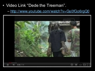 Immune System Lesson PowerPoint