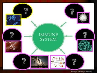 Copyright © 2010 Ryan P. Murphy
 