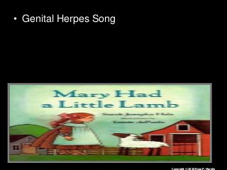 Immune System Lesson PowerPoint