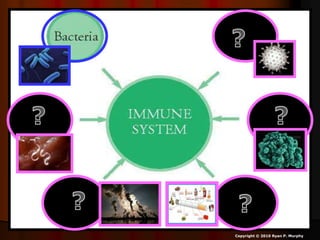 Copyright © 2010 Ryan P. Murphy
 