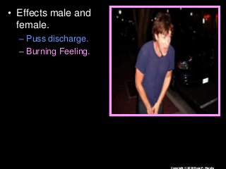 Immune System Lesson PowerPoint