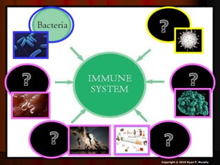 Copyright © 2010 Ryan P. Murphy
 