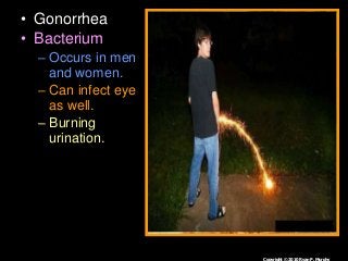 Immune System Lesson PowerPoint