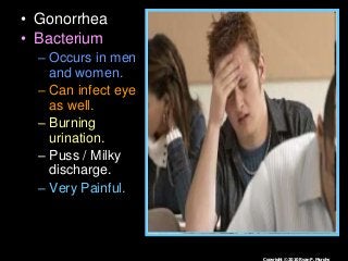 Immune System Lesson PowerPoint